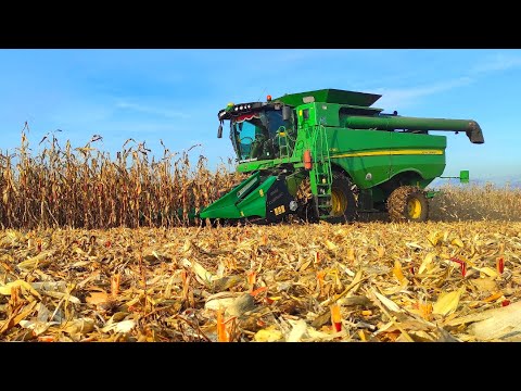Видео: С Лёхой молотим впрок КУКУРУЗЫ, ибо впереди нас ждёт СОЯ. Работа на John Deere S670i и 8335R.