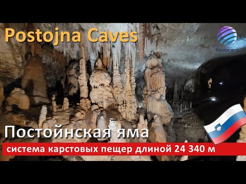 Видео: Spectacular Postojna Caves (Postojnska Jama) Slovenia ▶ Постойнская яма (Постойна Пещера) в Словении