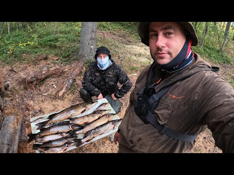 Видео: РЫБАЛКА НА ЖЕРЛИЦЫ!!! 2 ДНЯ НА ОЗЕРЕ.