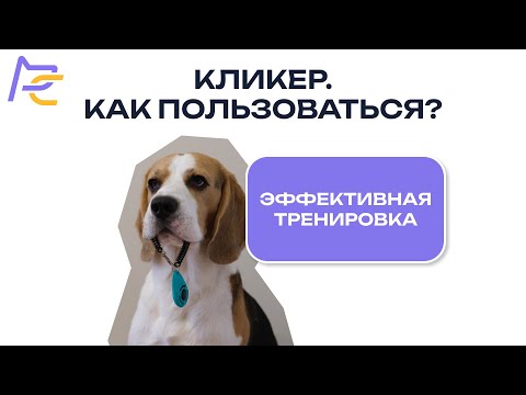 Видео: Кликер. Как пользоваться? Эффективная тренировка
