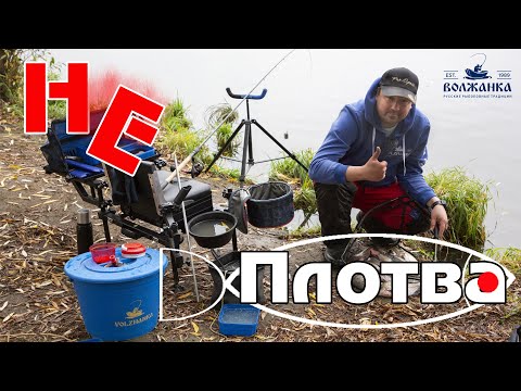 Видео: Не плотва