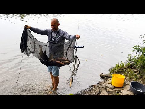 Видео: Рибалка на Десні. 🐟🎣Вечірній фідер на початку липня 2024☀️Десна роздає лящі❗️