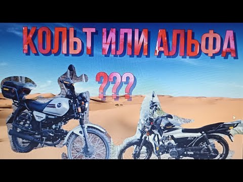 Видео: Кольт или альфа? Что же лучше?