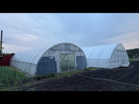 Видео: Нова теплиця  від відомого виробника🏡 Вже і висадили нову культуру🤞