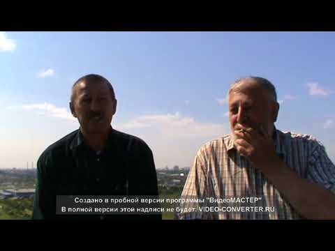 Видео: Кружастые голуби часть 2