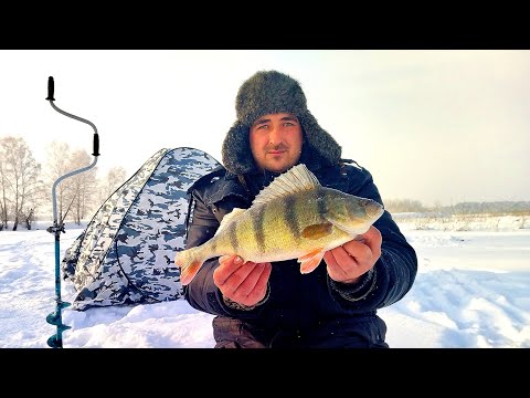 Видео: АДРЕНАЛИН!!! ЭМОЦИИ!!! ОКУНИ-МОНСТРЫ ВНОВЬ РВУТ ЛЕСКУ И РАЗГИБАЮТ КРЮЧКИ!!!
