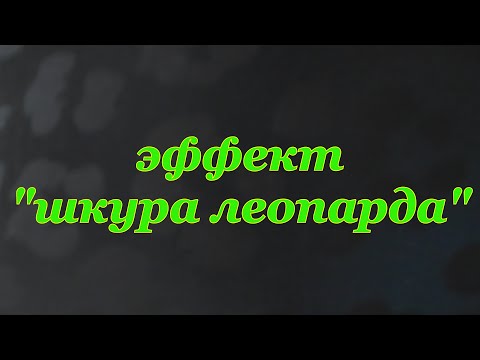 Видео: художественная "декоративка" часть2  эффект шкуры леопарда