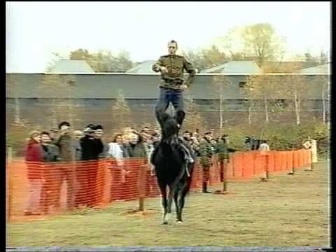 Видео: Джигитовка!!! Казаки ДОНА(Антон Лебедев)