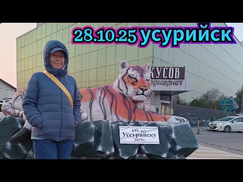 Видео: 28.10.2025  Вечерний Уссурийск