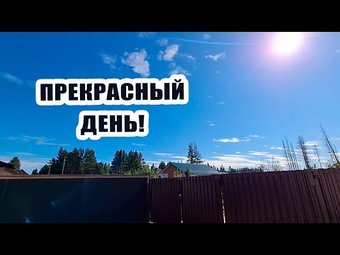 Видео: Прекрасный день! ☀️ Сходили с мамой на выборы и погуляли. Огородные дела 🍅🥒🌶