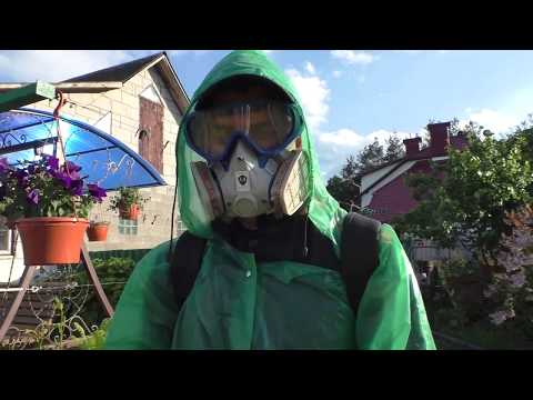 Видео: Виноград . Первая профилактическая обработка от болезней.