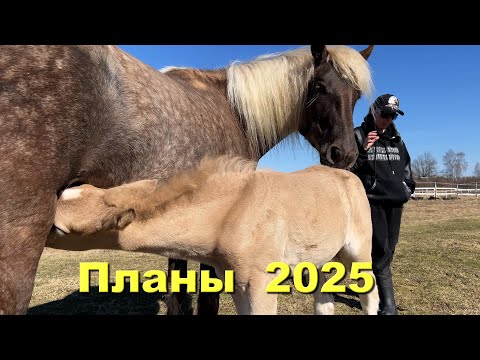 Видео: Планы 2025.