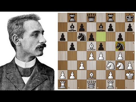 Видео: Карл Шлехтер и бесцельно прожитые годы черного коня... Шахматы.
