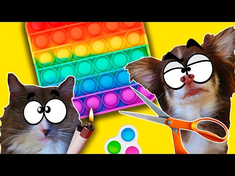 Видео: ПИТОМЦЫ ПРОТИВ POP IT! КТО ПЕРВЫЙ УНИЧТОЖИТ ПОПИТ, ПОЛУЧИТ СИМПЛ ДИМПЛ АНТИСТРЕСС ЧЕЛЛЕНДЖ