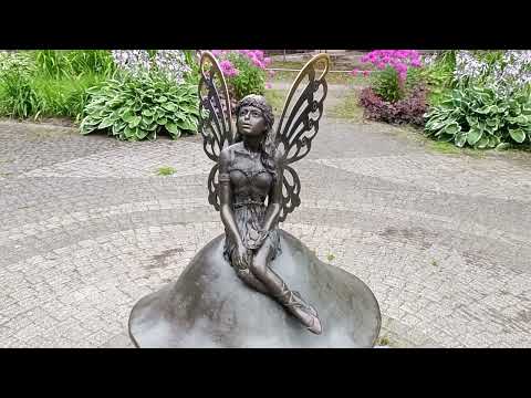 Видео: В городе хорошо, но дома лучше. 