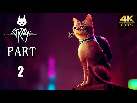 Видео: Прохождение Stray -- Часть 2: Приёмопередатчик [4K]