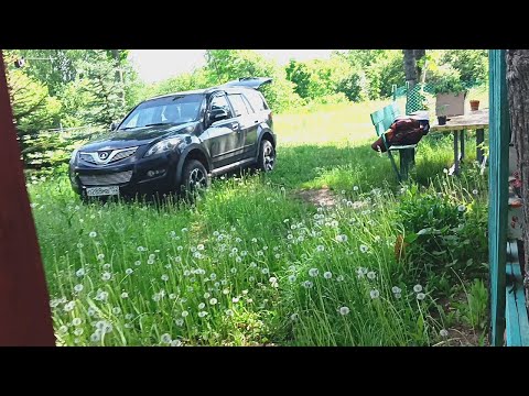 Видео: Новый человек в деревне. Скосил пол гектара травы.
