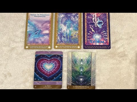 Видео: То, что вам следует знать, вы узнаете.