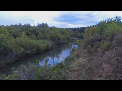 Видео: Клещи и рыбалка на сома в начале сентябре на донки и вешанки