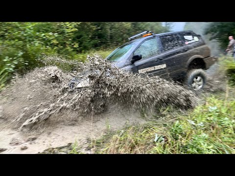 Видео: Лайта не будет! Внедорожники Jeep Rubicon, Toyota Prado, УАЗ Патриот и другие поехали в лес.