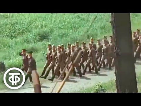 Видео: Песня "Солдат молоденький" из фильма "Завтрак на траве" (1979)