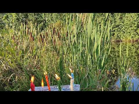 Видео: мясорубка для врага по справедливости