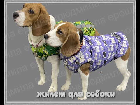 Видео: Шьем по готовой выкройке жилет для собаки.