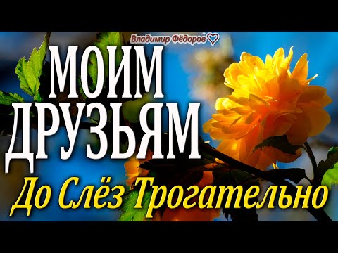 Видео: Самое Красивое Пожелание Друзьям! "Моим Друзьям" Трогательно до Слёз!