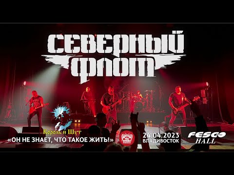 Видео: Северный Флот - Он не знает, что такое жить! (Live • Владивосток • 24.04.2023)