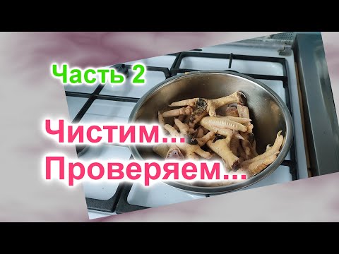 Видео: Проверка Совета из комментария (300)/Как быстро почистить куриные лапки/Часть 2/Получилось или нет?!