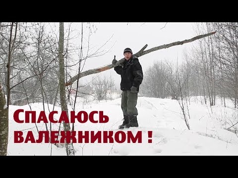 Видео: Заканчиваются дрова - спасаюсь валежником!