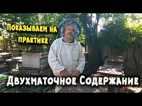 Видео: Двухматочное содержание и вдруг маточники, исправление роевого состояния на практике