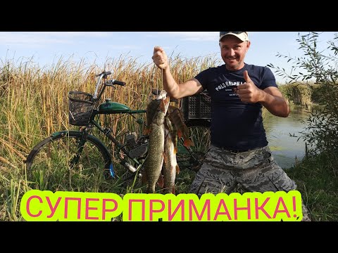 Видео: ЛУЧШАЯ МОЯ ПРИМАНКА для ЩУКИ и ОКУНЯ