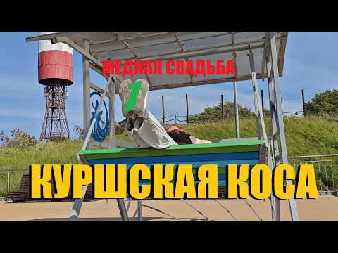 Видео: КУРШСКАЯ КОСА/ЛЕСНОЙ САБАНТУЙ В ЭЛИЗА ЗАРКАУ/ ЛО́СЬ ВСЕХ ВСТРЕЧАЕТ НА ДОРОГЕ/А СОЛНЦЕ ЗА ГОРИЗОНТ.