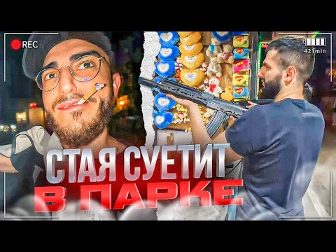 Видео: СТАЯ НАВОДИТ СУЕТУ В ПАРКЕ / СТАЯ СТАВЯТ РЕКОРДЫ СИЛОМЕРЕ / ВЫЯСНЯЮТ КТО ЛУЧШИЙ СТРЕЛОК ИЗ СТАИ!