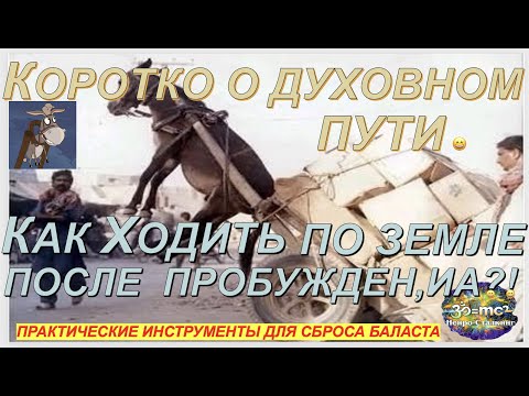 Видео: Просветление. Основной Вопрос Прозревших?  или как Жить чтобы Жить?