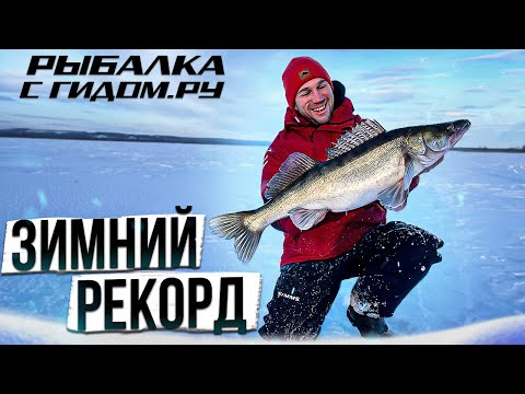 Видео: ТРОФЕЙ НА ЗИМНЕЙ РЫБАЛКЕ. РАСКРЫВАЕМ  СЕКРЕТЫ ПО ЛОВЛЕ СУДАКА ОТ  МОГУЧИХ УДМУРТОВ. РЫБАЛКА С ГИДОМ.