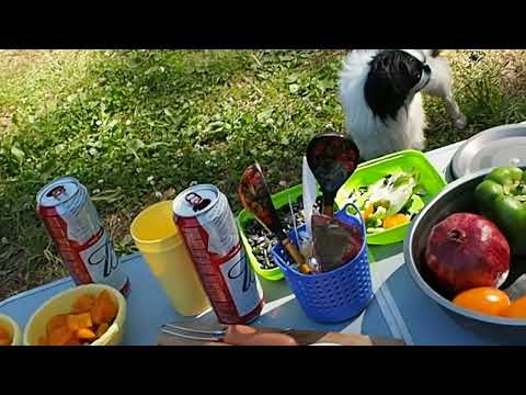 Видео: Отдых на озере  "Уловное”Лен.область.