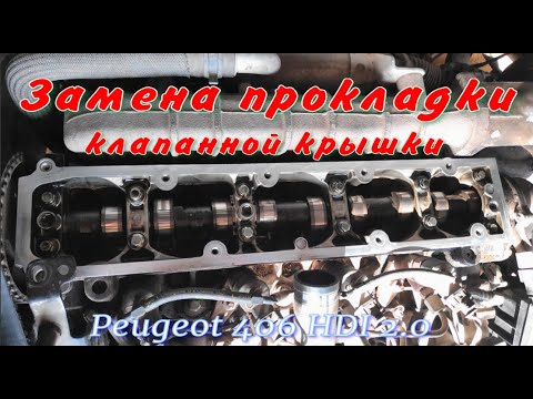 Видео: Замена прокладки клапанной крышки Peugeot 406 HDI 2.0 дизель