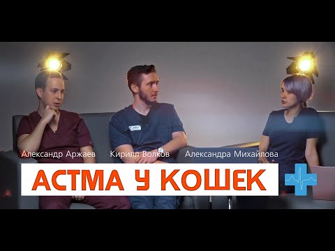 Видео: Астма у кошек