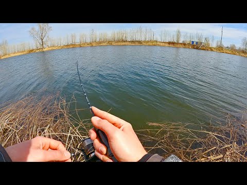 Видео: Под берег пришла ИКРЯНАЯ ПЛОТВА! Эффективный МОРМЫШИНГ на спиннинг до 0.8 г !!