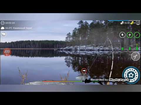 Видео: My Fishing World #14 // Рыбалка на Каменном Берегу ( 2 часть) // Какие же здесь монстры ловятся=)