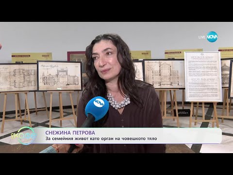 Видео: Снежина Петрова: Може ли да изкараме седмица в мълчание? - „На кафе“ (30.10.2024)