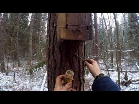 Видео: Охота на куницу. Ящичные ловушки и новая тестовая приманка TRAP (Будни охотника и рыбака)