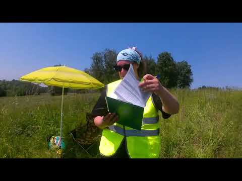 Видео: Старт и Финиш ориентирование по легенде 2025