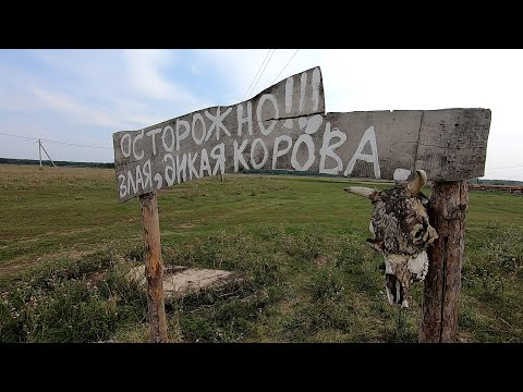 Видео: Сплав по реке Воронеж. Местные ребята шутить не любят! (3 ЧАСТЬ)