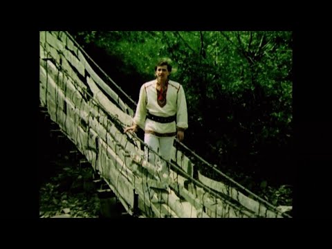 Видео: Назарій Яремчук - "Гай, зелений гай" (1985) Краща якість відео та звуку!