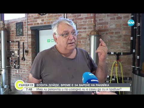 Видео: Тайната на кайсиевата ракия в Русенско - Събуди се (08.09.2024)