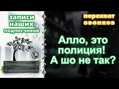 Видео: Записи наших подписчиков. Алло, это полиция! А шо не так?