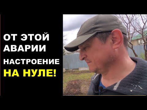 Видео: Как уберечь рассаду от мороза. Обнаружил потерю после зимы и чуть не заплакал.